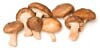 shiitake mushrooms